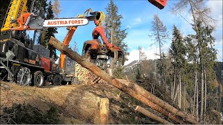 KMS 4000 U von Konrad mit Doosan Radbagger Woody H61 Harvester [upl. by Sileas288]