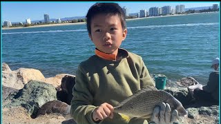 Catching Breams along the rocks wall at Spit [upl. by Verdha90]