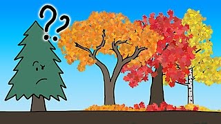 The Real Reason Leaves Change Color In the Fall [upl. by Zerimar]