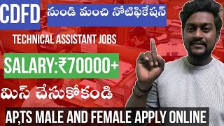 Cdfd నుండి నోటిఫికేషన్ రిలీజ్  latest job updates telugu [upl. by Borek940]