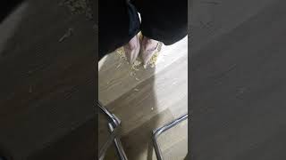 Crushing Chips under Stiletto Pumps  ASMR  High Heels [upl. by Neelyaj]