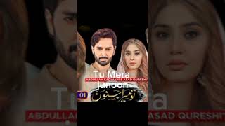 Top 10 Famous dramas by Famous Hero danish taimoor follow and subscribe my chenel danishtaimoor [upl. by Jon]