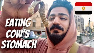 Insane Egyptian Street Food  Cairo Street Food Tour [upl. by Revilo]