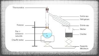 Hydrodistillation  une technique dextraction [upl. by Pompea719]