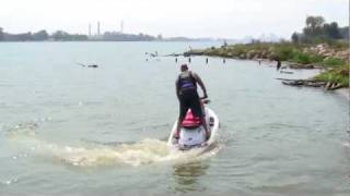 1997 Sea Doo GSX 2 seater jet ski in water demonstration [upl. by Nido]