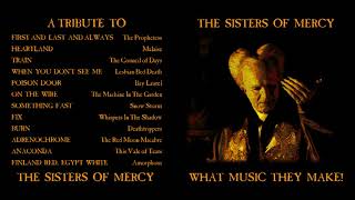 A Tribute to The Sisters of Mercy  What Music They Make [upl. by Birkle70]