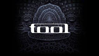 TOOL  ROSETTA STONED [upl. by Anaes]