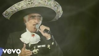 Vicente Fernández  Palabra De Rey Cover Audio La Leyenda Viviente Video [upl. by Eugor]