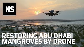 How drone technology is helping plant 100 million mangrove trees in the UAE by 2030 [upl. by Lrem]