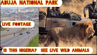 ABUJA NIGERIA TOP CITY TOUR SAFARI EXPO ABUJA NATIONAL PARK🏞️ YOU WON’T BELIEVE THIS IS NIGERIA🇳🇬 [upl. by Nortal]