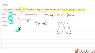 Actinomorphic nature of flower is represented by which of the following symbols [upl. by Nofpets165]