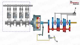 AMT CH2 Manual Transmission  working [upl. by Femmine]