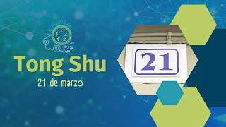 Consejos del Tong Shu para el 21 de marzo Mono de Madera Yang [upl. by Eem]