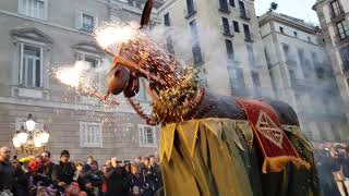 450 anys de la Mulassa de Barcelona I Ball de la Mulassa de Barcelona I Gegants [upl. by Htebazile]