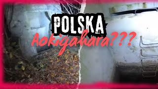 Polska Aokigahara GPS Oszalał w środku lasu Sztolnia 1914 StrefaNocy [upl. by Sana]