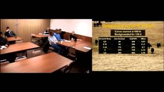 Backgrounding Heifers Replacements or Feeders [upl. by Eadie]