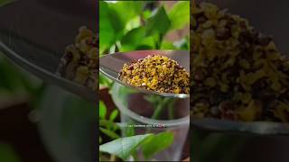 Best Fertilizer for Seedlings amp Small plants youtubeshorts shortvideo shorts fertilizer [upl. by Eng]