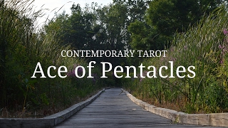 Ace of Pentacles Description in 3 Minutes [upl. by Sanferd66]