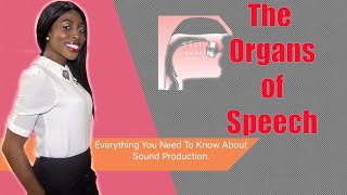 The Organs Of Speech And Their Functions Lesson 1 Everything You Need To Know  Speech Production [upl. by Iadrahc]