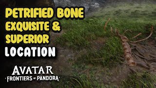 Petrified Bone Superior amp Exquisite Location  Avatar Frontiers Of Pandora [upl. by Odey]