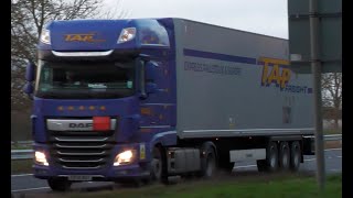 DAF XF  TAP FREIGHT  A1M motorway evening trucks spotting [upl. by Vey472]