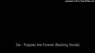 Sia  Puppies Are Forever Backing Vocals [upl. by Gunzburg985]