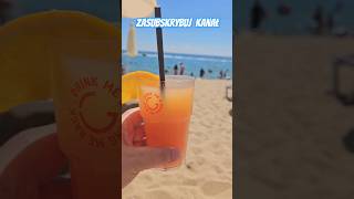 drinki na plaży ależ owszem czemu nie plaża wakacje travel shorts drink [upl. by Salzhauer]