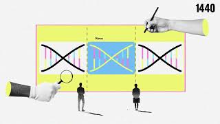 How CRISPR Works [upl. by Ahsikar]