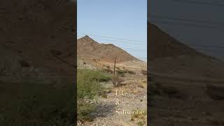 Dubai Hatta Road Trip  Oman border song music travel nature arabianadventure shrots vlog [upl. by Lusty]