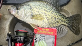 Fishing for crappie in fox chain olakes Non stop action PB CRAPPIE [upl. by Ddahc168]