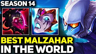 RANK 1 BEST MALZAHAR IN SEASON 14  AMAZING GAMEPLAY  League of Legends [upl. by Nannette683]