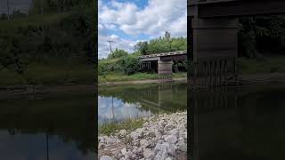 ScenicView 40 Cuivre River Flatwoods Park Access St Paul Missouri Shorts [upl. by Sillsby]