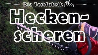 ✂️ Akku Heckenschere Test – 🏆 Top 3 Akku Heckenscheren im Test [upl. by Erlina296]