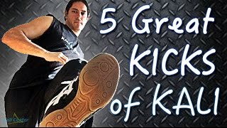 5 Great Kicks of Filipino Martial Arts Sikaran kicking techniques [upl. by Ciryl]