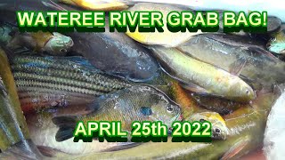 Wateree River Grab Bag Bream amp Catfish Fishing [upl. by Anelav]