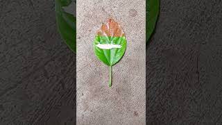 Indian flag for leaf painting giriart [upl. by Arfihs]