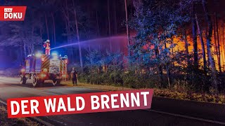 Wald in Flammen  Feuerwehr im Dauereinsatz  Die rbb Reporter  Doku amp Reportage [upl. by Hallvard449]