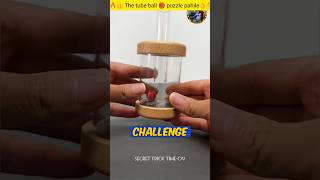 the tube ball puzzle pahile 🤔mini wood toywoodworking art skillwood hand craftshorts [upl. by Adnowal]