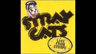 Stray Cats  Rumble in Brighton LIVE [upl. by Alvin]