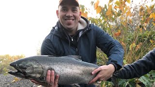 Bobber down Fighting a Big King and Fishing for 20 plus pound Salmon in Humptulips River [upl. by Nil]