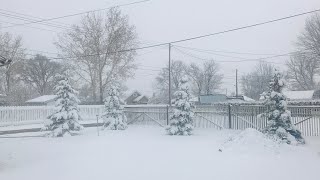 Snowfall  rain weather for today claresholm alberta canada [upl. by Anatol415]