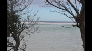 Policemans Point Campground Ansons Bay of Fires [upl. by Mosra84]