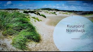 NOVsoos NOV2024  Wellness aan zee [upl. by Anurb118]