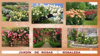 Rosaleda  Jardines de rosas [upl. by Hewes988]