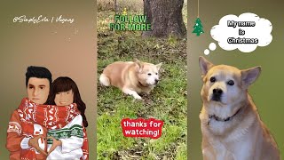 My loving and gentle dog 🐶  Simply Ena  Vlogmas 🎄🎅☃️ [upl. by Upton]