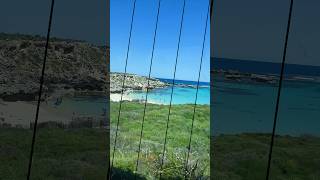 Rottnest Island Western Australia shorts [upl. by Ihsoyim]