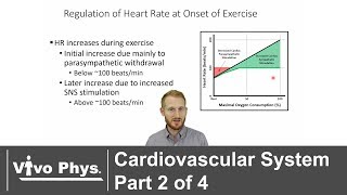 Cardiovascular System Part 2 of 4  Cardiac Output [upl. by Ahsinot]