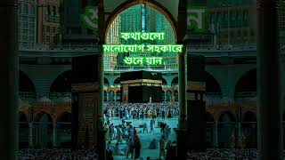 Delowar Hossain Saidi 💦 delowarhossainsaidi islamicstatus islamicvideo [upl. by Keeler]