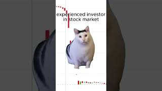 Newbie vs Experienced Investor when met stock crash catmemes catmeme cryptotrading stockmarket [upl. by Vivica218]