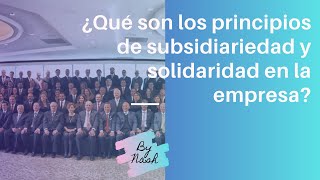 ¿Qué son los de solidaridad y subsidiariedad en la empresa [upl. by Eralc]